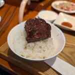 TORERO SHIMOKITAZAWA - 