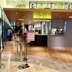 BOTANI：CURRY - 