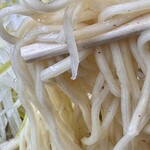 ニボシの恵 - あっさりネギだけらーめん