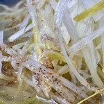 ニボシの恵 - あっさりネギだけらーめん