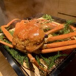 ふくい、望洋楼 - 茹で蟹 主 1.31kg