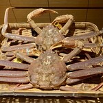 ふくい、望洋楼 - 越前蟹 主（手前） 献上（奥）