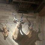 TOKYO Whisky Library - 