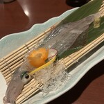 水月 - イカ活作り