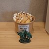 とろり天使のわらびもち - わらびもちアイス（きなこ）400円