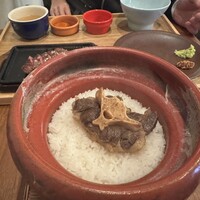 アカミヤコウシ - 