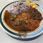 SARU CURRY - 