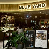 BLUE YARD - 
