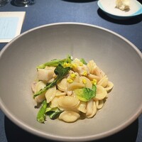 セルサルサーレ - 