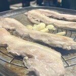 美豚 - 