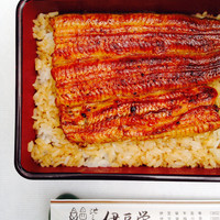 鰻割烹 伊豆栄 梅川亭 - うな重