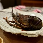 新日本料理おぶね - 