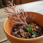 MaSiLo cafe - ほろ苦い珈琲パウダー｡