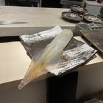 鮨 からす - 泳ぎイカ（生きてます）