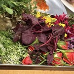 雪花菜 - エディブルフラワー