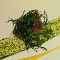 リストランテKubotsu - 産地直送鮮魚のヴァポーレ　有機ハーブと自家製マヨネーズソース