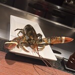 鉄板焼 BF - 活オマール！