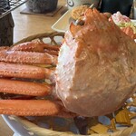 砂丘センター 見晴らしの丘 - 