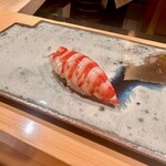 鮨 つぼみ - 車海老(絶品)