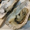 BAY OYSTER
