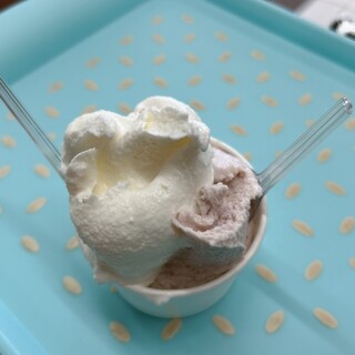 みどりの杜のカフェ_2