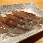 によせ - 生ホタルイカ刺身