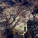 寺家 ひらさわ - 