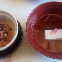 山茶花 - 