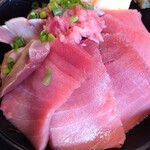 焼津港 みなみ - 中トロハーフ丼
