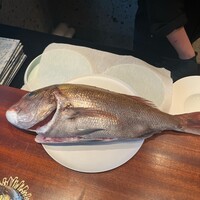 蒼 - コンソメの元になる真鯛