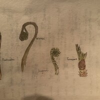 味のなかむら - 