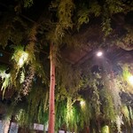 REWILD OUTDOOR TOKYO - 