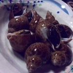 漁菜克献 - ばいがい