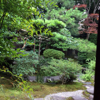 茶寮 宝泉 - 内観写真: