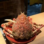 新日本料理おぶね - 