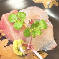 広島旨い物処 稲茶 - 鯛の昆布締めと鯵、マグロ