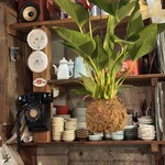 シュウマイルンバ - 