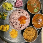 Curry Spice Gelateria KALPASI - 