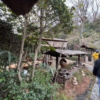 九つ井 本店 - 