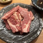 成吉思汗 松本深山 - 