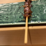 さいたま新都心 風凛 - ほたるいかあの炙り