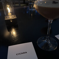 CICADA -  CICADA -