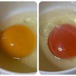 神出たまごセンター - 比較してみた