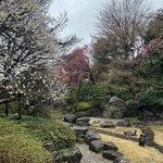 リストランテ大澤 - 