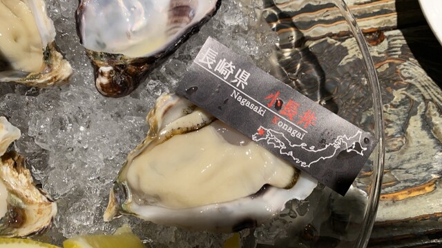 Kaki HachiRou 86 photo 2