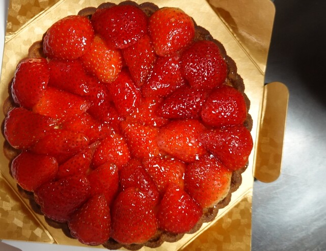 Torutaishio Ion Okazaki Minami Ten photo 5