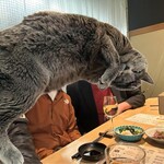 天ぷらとワイン 小島 - 