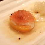 趙楊 - 麝香と赤ツバメの巣　(2014/07)