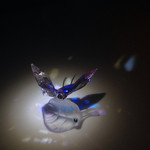 BAR PARTAGE - スワロフスキーの蝶