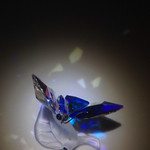 BAR PARTAGE - スワロフスキーの蝶